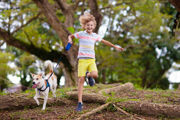 istock Child and dog walk in summer park 1485540157