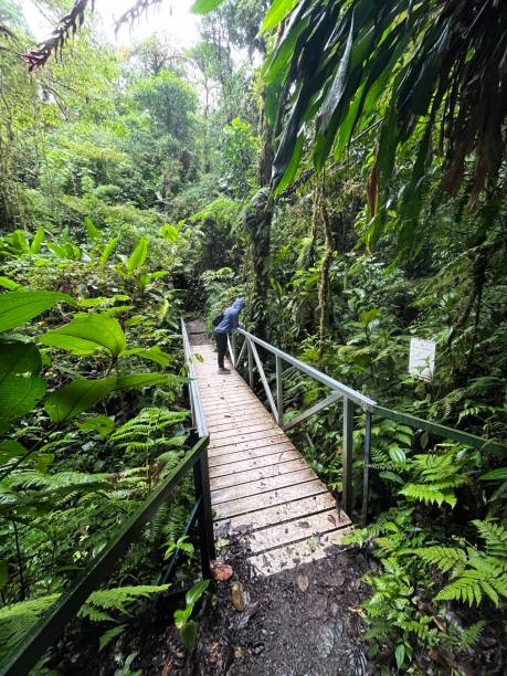 istock Costa Rica Hike 1485541152