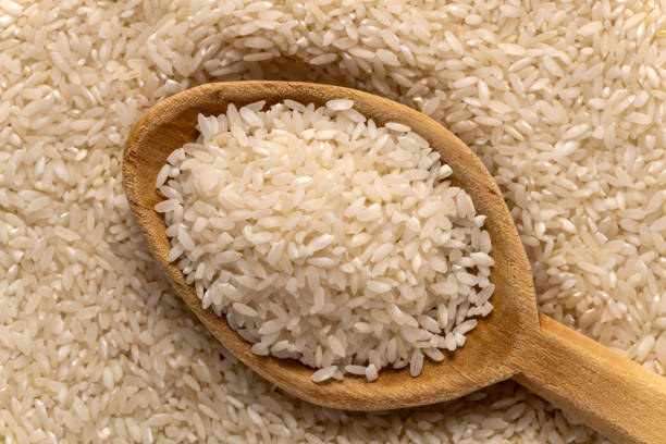 istock Carolina Plantation Golden Rice 1485574072