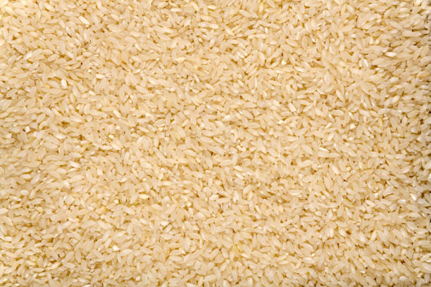 istock Carolina Plantation Golden Rice 1485574080