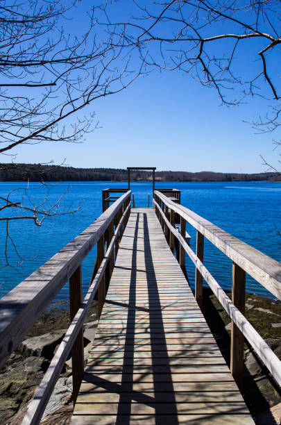 Wooden dock on a river on a sunny day