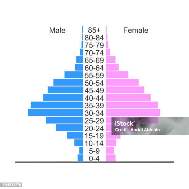 Population Pyramid Age Structure Diagram Template Example Of Population ...