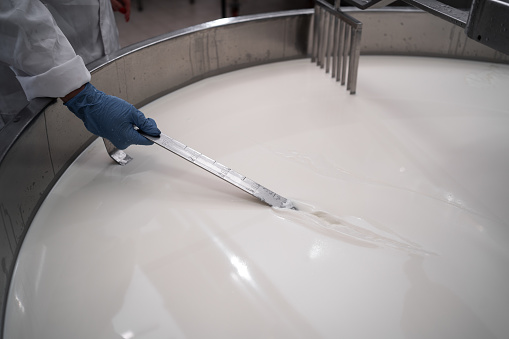 Cheese maker testing the whey and milk on factory. Cheese production process, close up