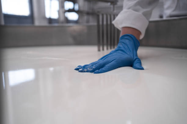 Professional factory working with curd cheese with hands. Cheese maker in the process of producing different varieties of cheese in the industry.