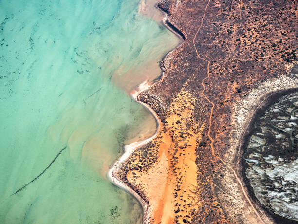 istock Aerial view of remote coastline 1485583123