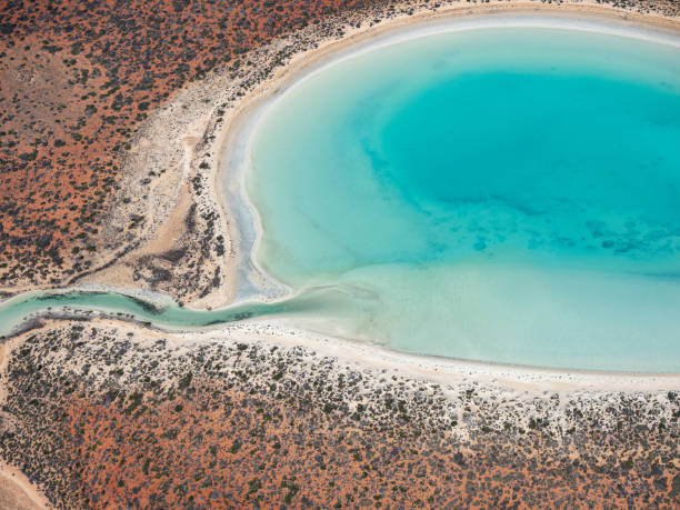 istock Aerial view of turquoise lagoon 1485583290