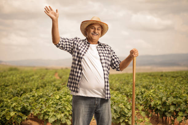 istock Mature farmer with a shovel greeting from a grapevine field 1485585981