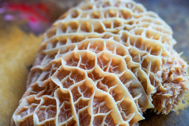 istock Closeup of raw beef tripe on cutting board 1485600323