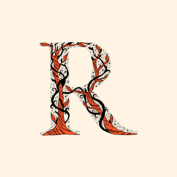 Decorative Letterforms R 480+ Letter R Logos Drawing Stock Illustrations, Royalty-Free Vector ...
