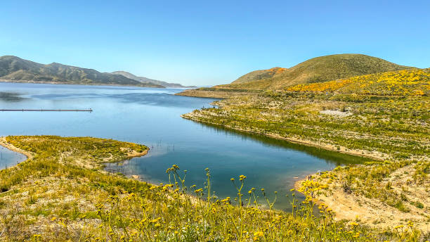 Diamond Valley Lake, located in Hemet, California is one of the largest water reservoirs in Southern California.  After a wet winter the reservoirs levels have returned to a more normal level.  Many travel to this area to see the super bloom of 2023 that surrounds the lake.  The lake is a drinking water reservoir that is run by a metropolitan water company.  It is a popular sight for tourists, especially during the springtime with all the varieties of wild flower on the surrounding hillsides.
