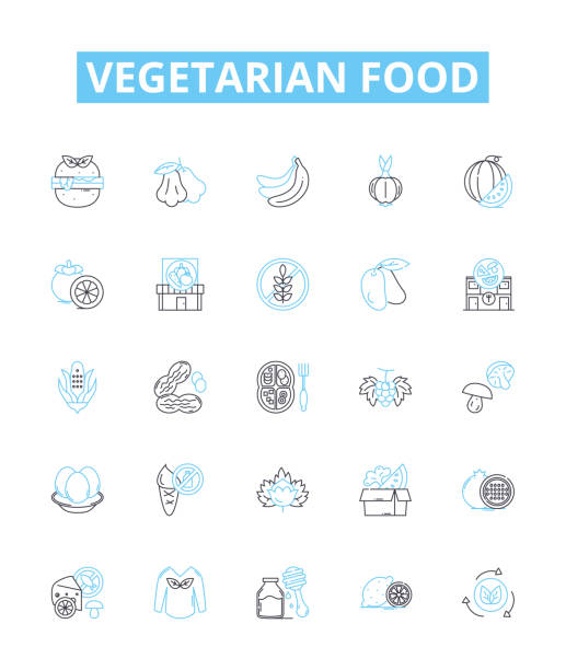 ilustraciones, imágenes clip art, dibujos animados e iconos de stock de conjunto de iconos de línea vectorial de comida vegetariana. verduras, frijoles, lentejas, tofu, quinua, tempeh, legumbres ilustración esquema símbolos conceptuales y signos - bean avocado radish nut