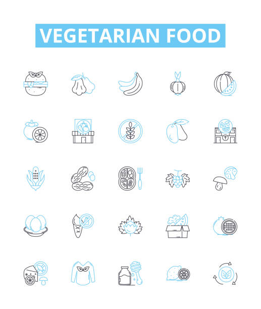 набор векторных линий вегетарианской еды. овощи, фасоль, чечевица, тофу, киноа, темпе, бобовые иллюстрация контура концептуальных символов � - bean avocado radish nut stock illustrations