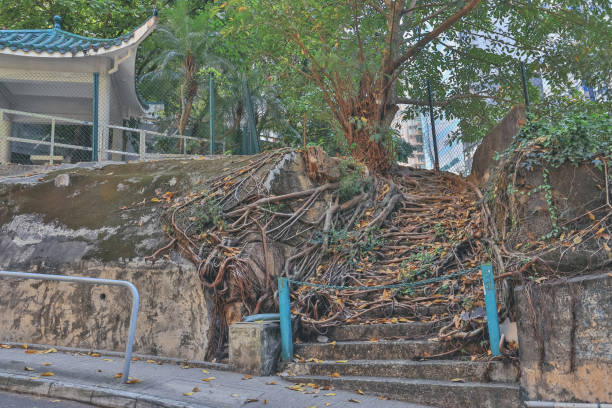 hiking trail. The old and broken concrete stairs