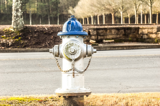 A fire hydrant stands at the ready.