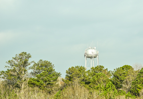 A water tower rises above the trees.