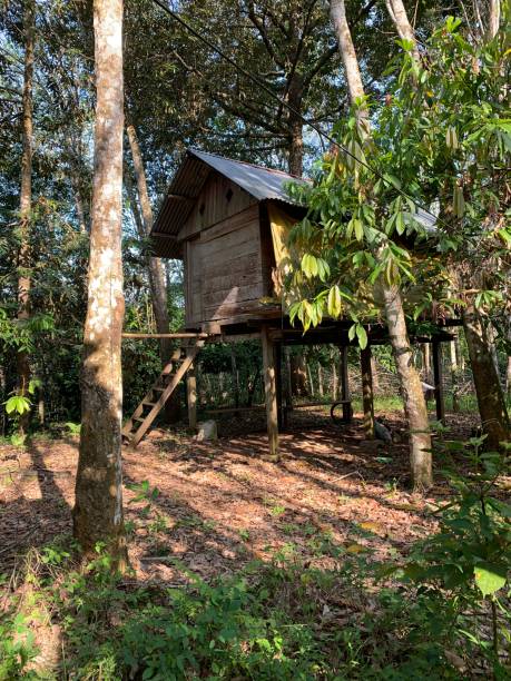 istock Cabin in the woods 1485624143
