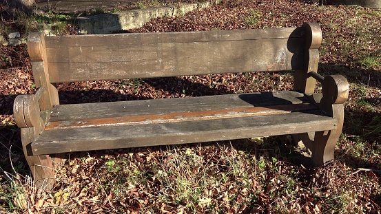 Wooden park bench in nature. Wooden bench has a backrest