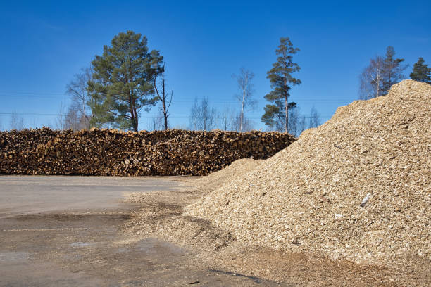 istock wood industry material stacked outdoors 1485635663