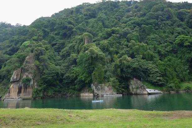 istock Green on green waterscape 1485639161