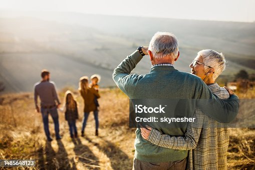 istock Rear view of embraced senior couple looking at their family in nature. 1485648123