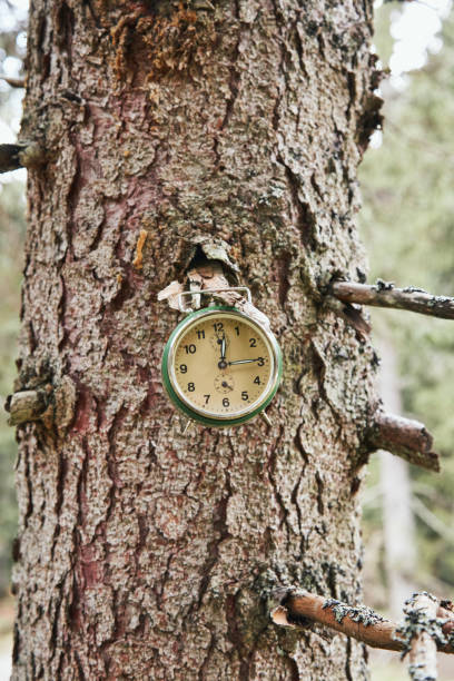 istock Time for nature and environmental conservation. 1485649271