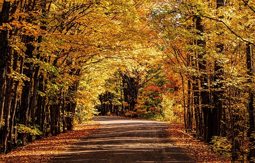 A scenic view of a road surrounded by leafy trees in autumn near Houghton, Michigan