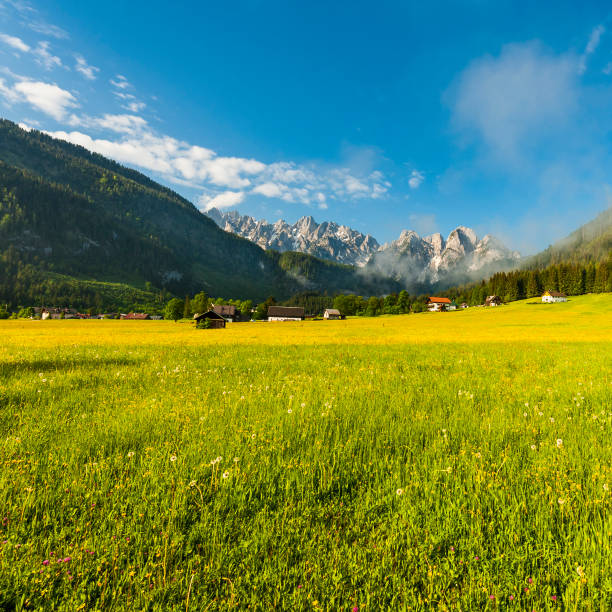 istock Alps in early morning 1485652210