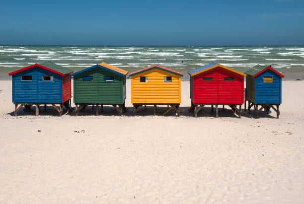 istock Muizenberg beach, surfer beach, South Africa 1485653885