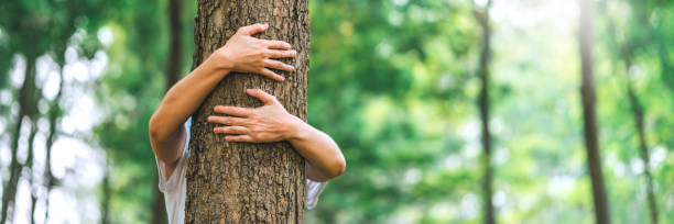 istock Human hand Hug and touching tree in the forest .people protect from deforestation and pollution or climate change Concept to love nature and tree . environment ecology and Earth Day concept 1485659064