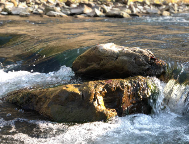 istock A transparent mountain river flows over the stones 1485659515