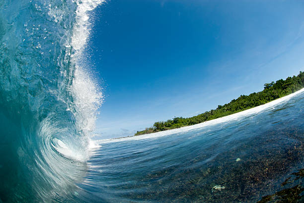istock blue wave breking over shallow coral reef 148565975