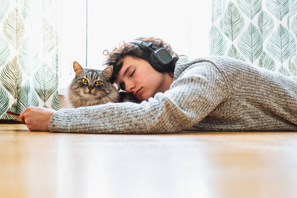 istock Spend your free time at home with your cat. 1485661048