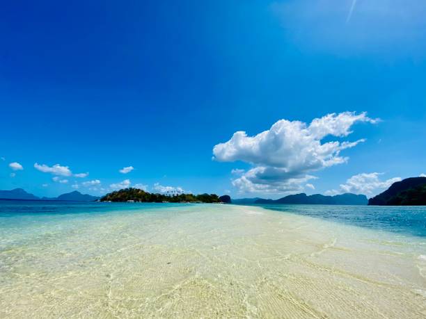 istock Isolated on Snake Island, El Nido, Palawan, Philippines 1485661238