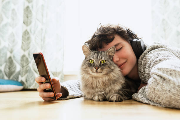 istock Spend your free time at home with your cat. 1485672737