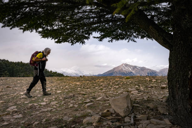60 year old backpacker man hiker, active lifestyle, high vitality. Sees full size model.Side view model walking.Big tree trunk. Snowy mountains in the background, mountain range.