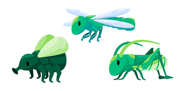 Dragonfly grasshopper elephant bug green insect vector drawing illustration