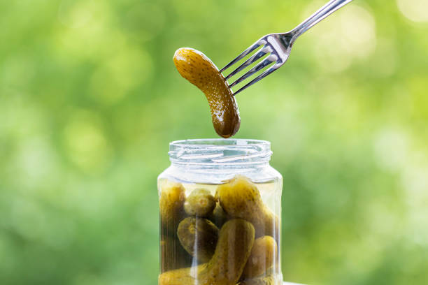 Gherkin pickles in glass jar with a fork taking out a gherkin and selective focus. Pickled gherkin ready to eat. Delicious green pickle on blurred natural green background. copy space