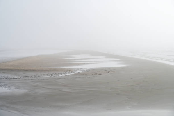 istock Fog on Baltic sea coastline at spring 1485681073