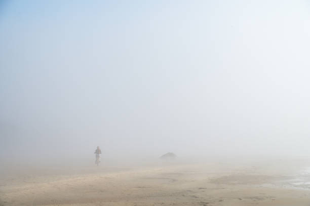 istock Fog on Baltic sea coastline at spring 1485681081