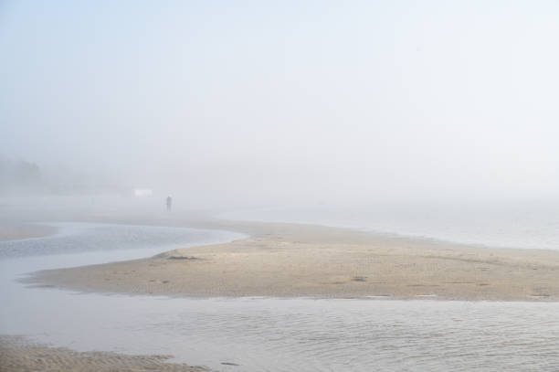 istock Fog on Baltic sea coastline at spring 1485681158