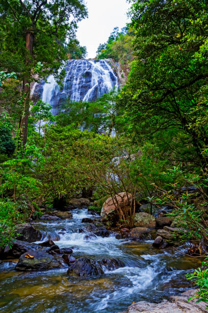 istock Khlong Lan Waterfall in the rainforest 1485681534