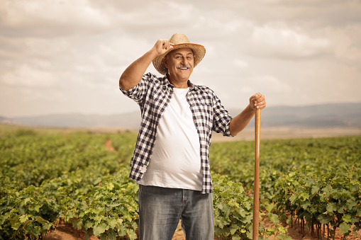 Mature farmer on a grapevine field greeting with his straw hat
