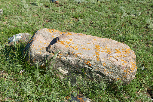 A large rock in the grass, close-up. Beautiful wallpaper.
