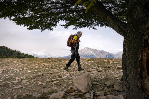 istock Elderly backpacker man hiking in nature 1485691677