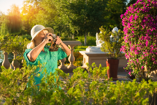 Senior woman with camera. Lady standing near plants. Photographer in botanical garden. Inspiration and mood.