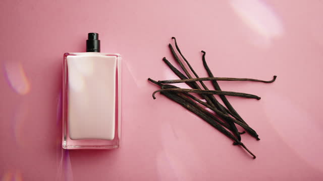 Perfume Bottle With Vanilla Pods