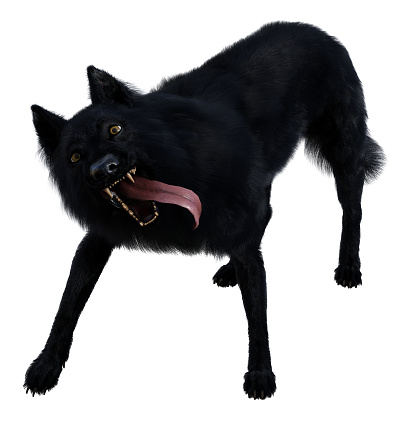 3d illustration of a black wolf with tongue out snarling looking forward isolated on a white background.