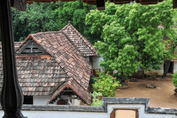 istock courtyard of a rural house 1485703486