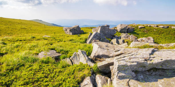 istock stones and rocks on the grassy alpine meadow 1485705592