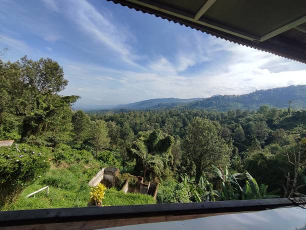 istock Puncak hills and the forest around it 1485709171